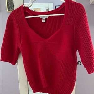 Vince Camuto Cherry V-Neck Sweater